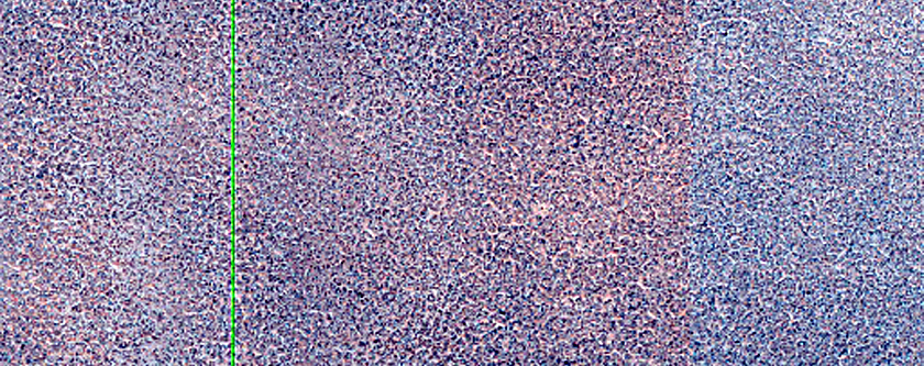 Terrain Sample