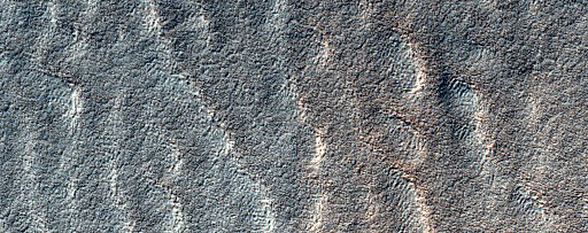 Terrain Sample