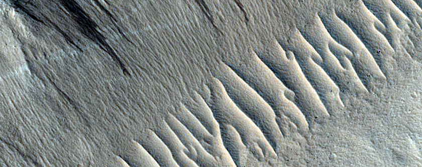 Labeatis Fossae