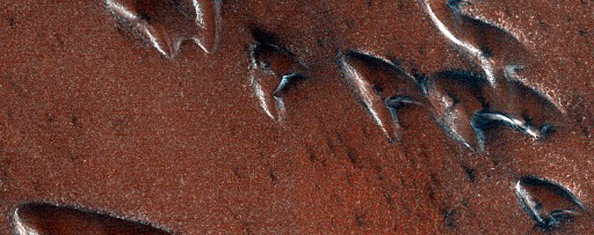 North Polar Dunes