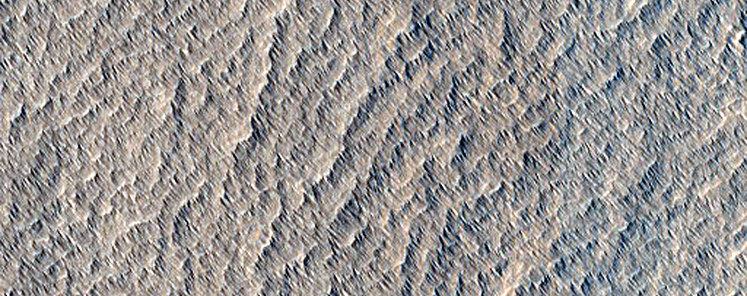 Terrain Sample