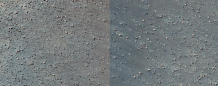 Terrain Sample