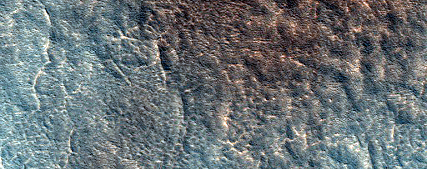 Terrain Sample