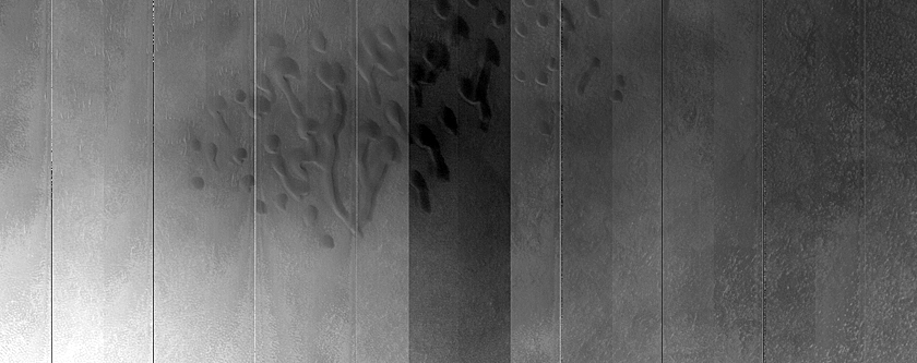 Dune Monitoring in Crater