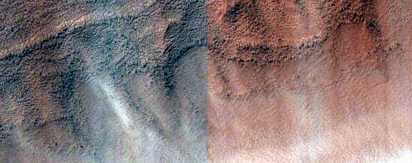South Polar Residual Cap Intraseasonal Change Monitoring