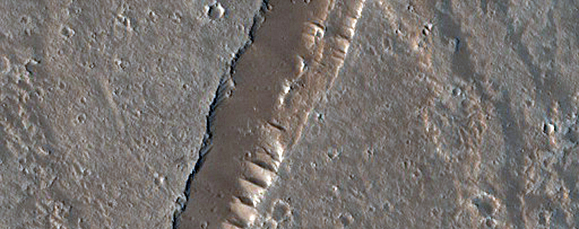 Flow Margin