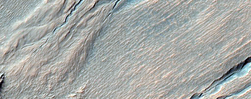 Gully Monitoring