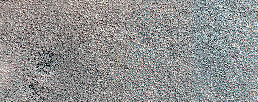 Terrain Sample