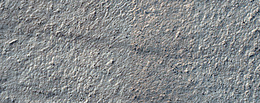 Terrain Sample