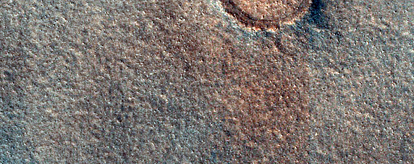 Terrain Sample