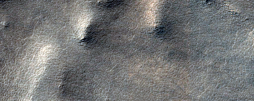 Terrain Sample