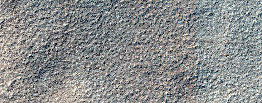 Terrain Sample