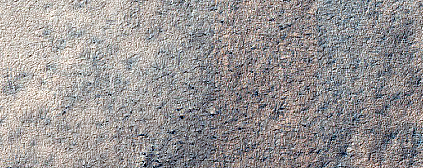 Terrain Sample