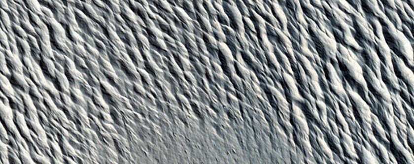 Terrain Sample