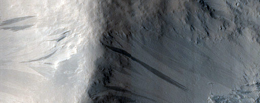 Terrain Sample