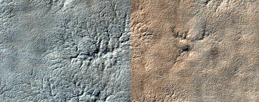 Terrain Sample
