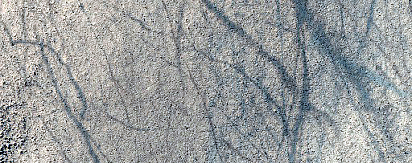 Terrain Sample