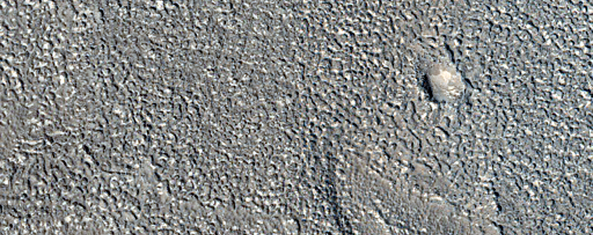 Adamas Labyrinthus