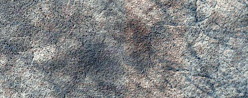 Terrain Sample