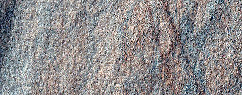 Terrain Sample