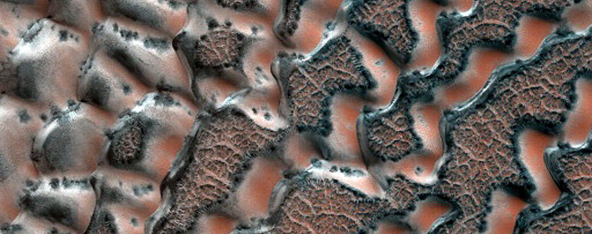 Dune Monitoring in Crater
