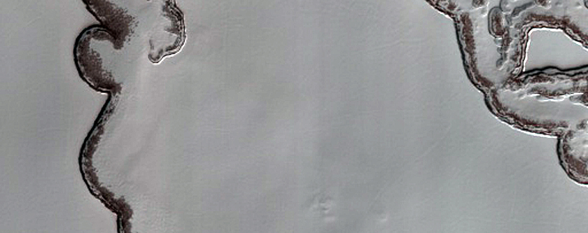 South Polar Residual Cap Intraseasonal Change Monitoring
