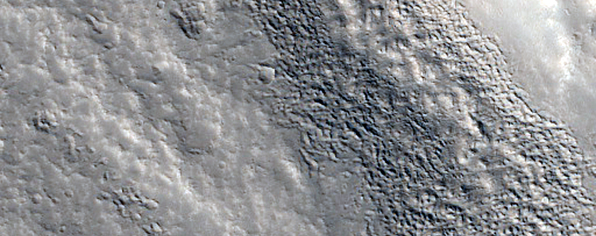 Terrain Sample