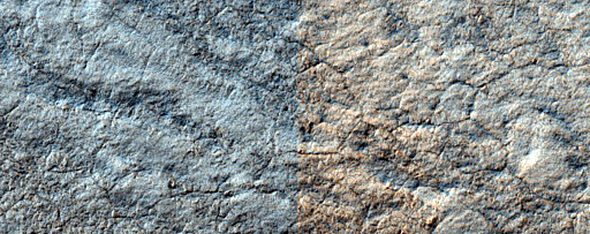 Terrain Sample