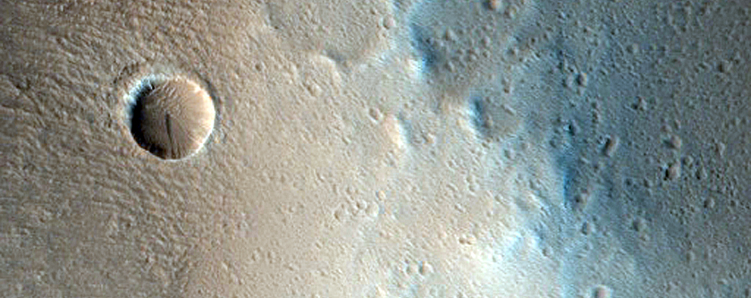 Terrain Sample