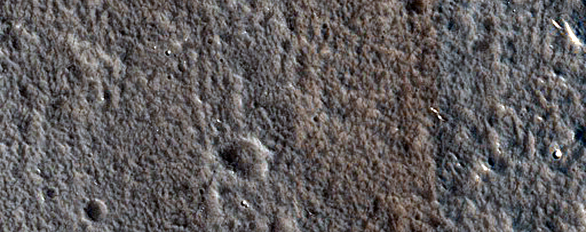 Adamas Labyrinthus