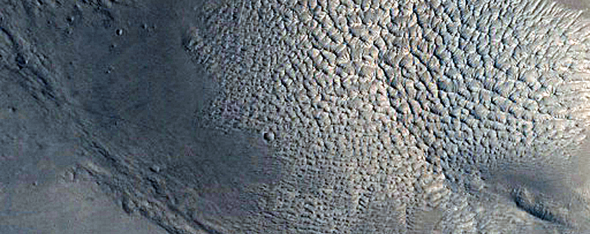 Terrain Sample