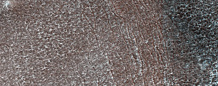 Terrain Sample