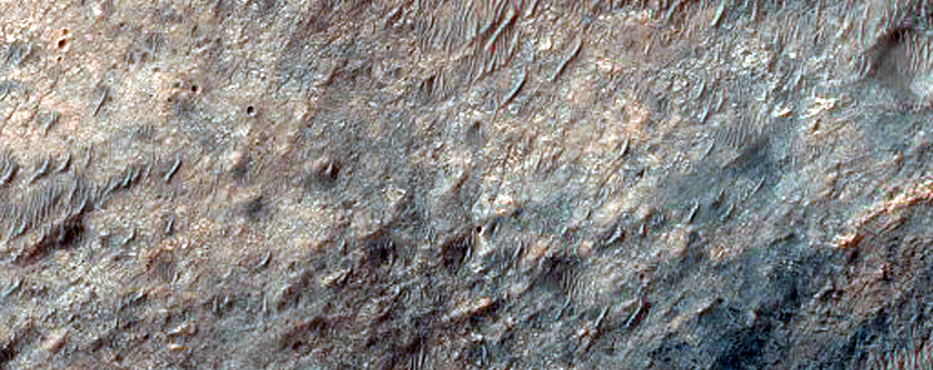 Terrain Sample