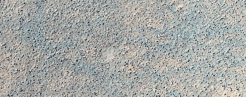 Terrain Sample