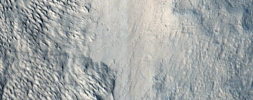 Terrain Sample