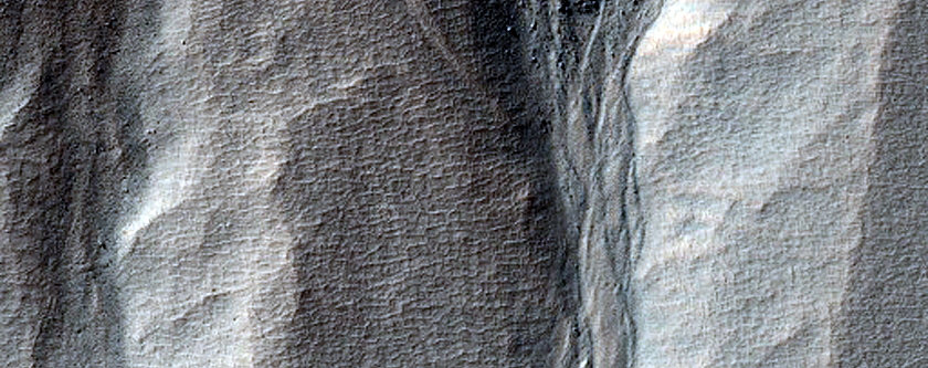 Gully Monitoring and Topography