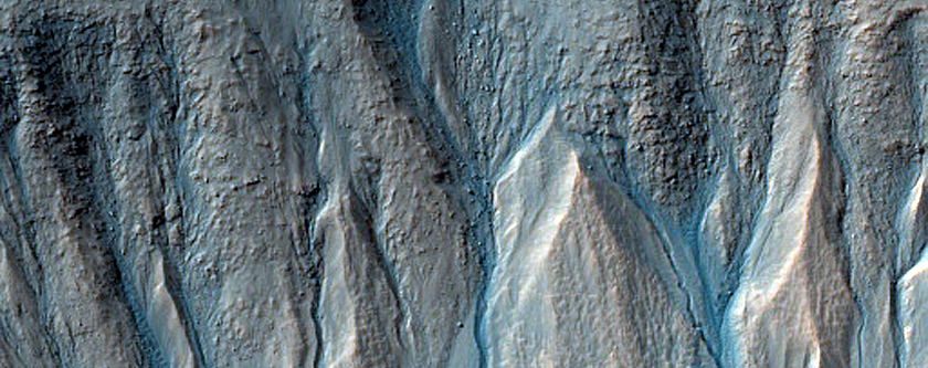 Gullies in Southern Crater