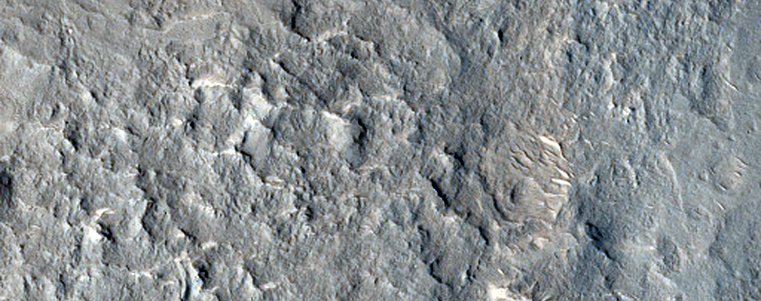 Terrain Sample