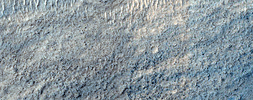 Terrain Sample