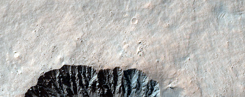 Gully Monitoring