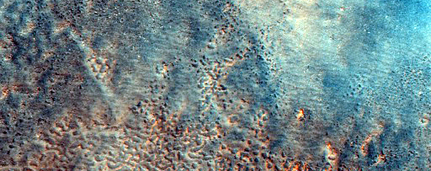 Terrain Sample