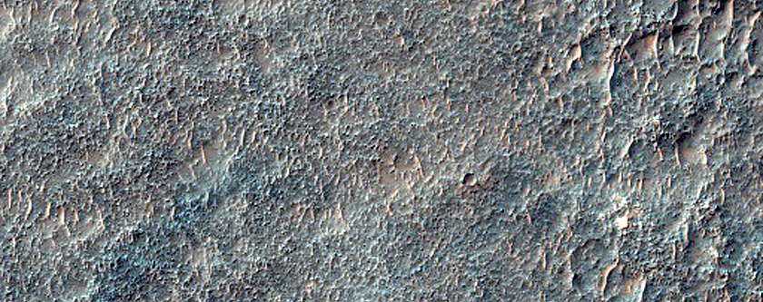 Terrain Sample