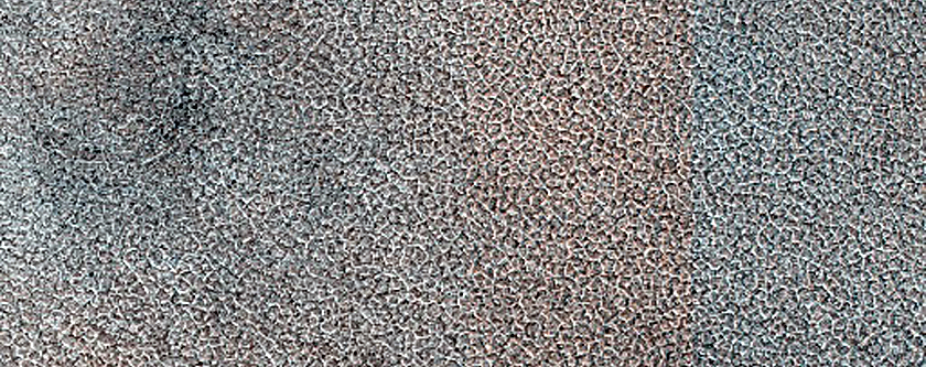 Terrain Sample