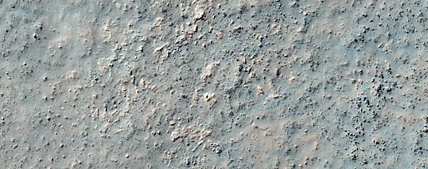 Monitoring Dust Devil Tracks