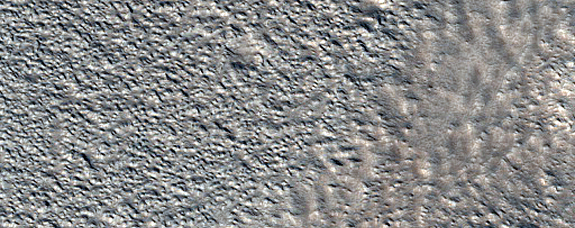 Terrain Sample