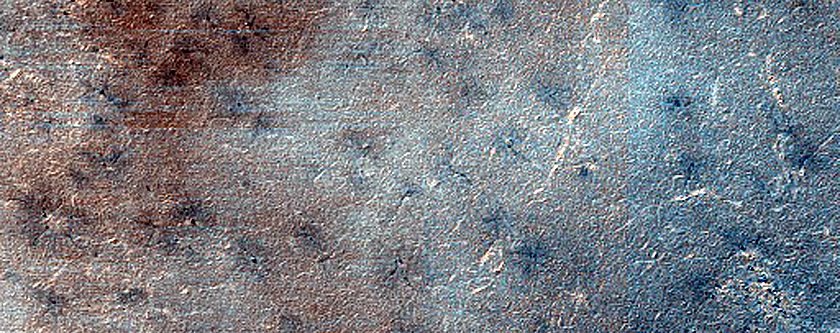 Terrain Sample
