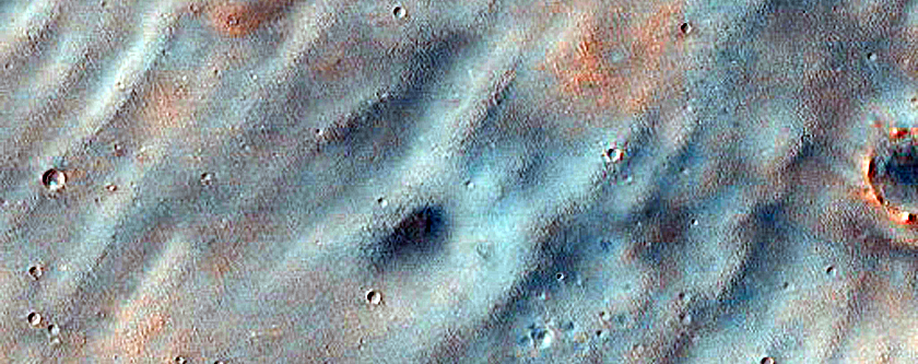 Terrain Sample
