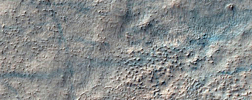 Terrain Sample