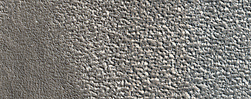 Terrain Sample