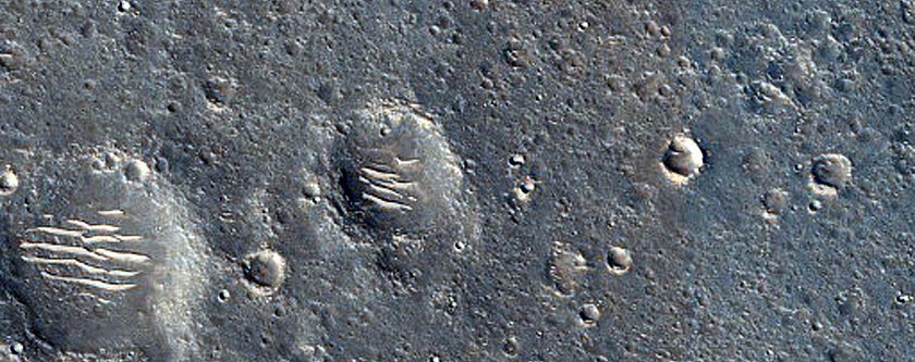 Nepenthes Planum